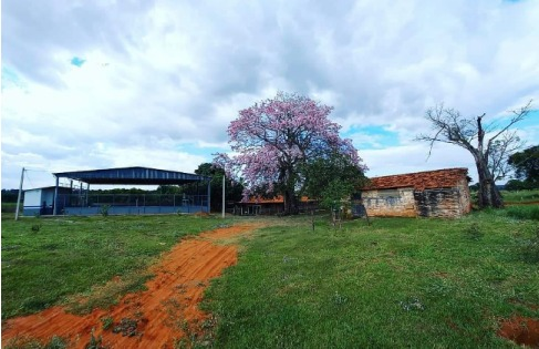 A imagem mostra uma estrada de terra com grama ao lado, que leva até a escola e a quadra esportiva. Entre a quadra e a escola possui uma árvore grande e com flores lilás e ao lado da escola uma árvore morta sem folhas.