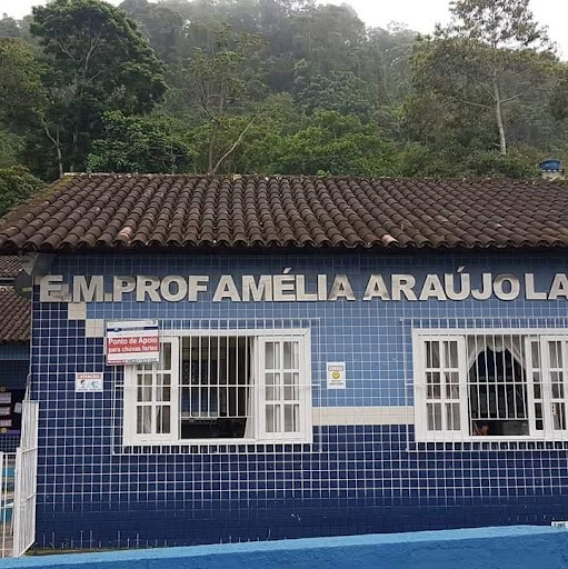 Fachada principal em azulejo azul da Escola Municipal Professora Amélia Araujo Lage. A escola possui duas grandes janelas brancas, gradeadas, e, ao fundo, uma paisagem repleta de árvores.